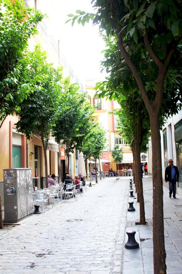 Apartament Plaza Nueva Terraza Sewilla Zewnętrze zdjęcie